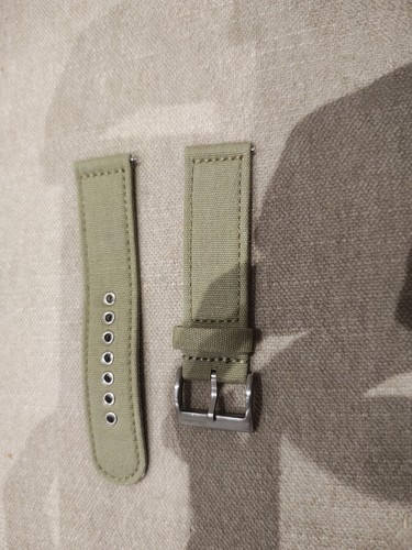 Zuludiver watchgeko gecktoa - watchgeko,