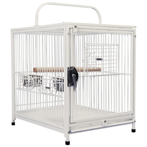 Little friends parrot bird - little,