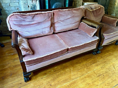 Pink velvet scroll - velvet,