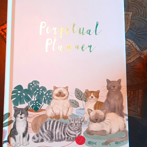 From you cat illustrated - you, to