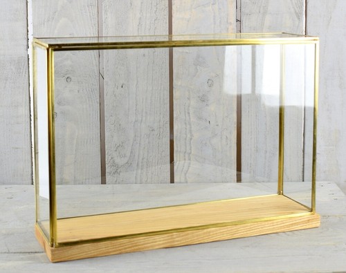 Glass display showcase large - showcase,