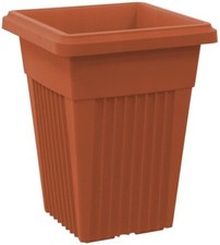 55cmTall Terracotta Large