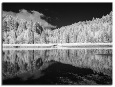 Converted 850nm Infrared IR