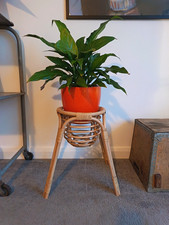 Vintage Bamboo Wicker Plant