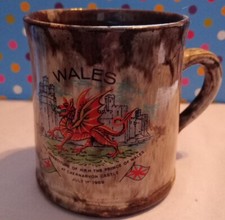 VINTAGE 1969 prince of wales investiture Ewenny brown