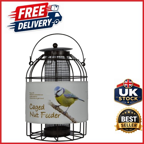 Caged peanut wild - wild, bird