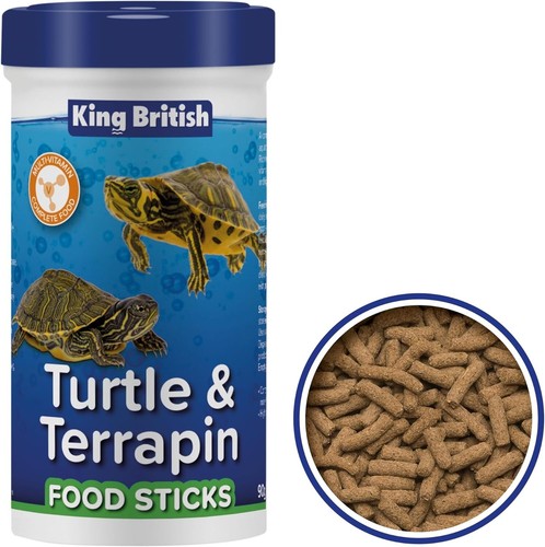 King british turtle - king,