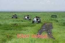 PHOTO  APCS IN THE MARSH THESE