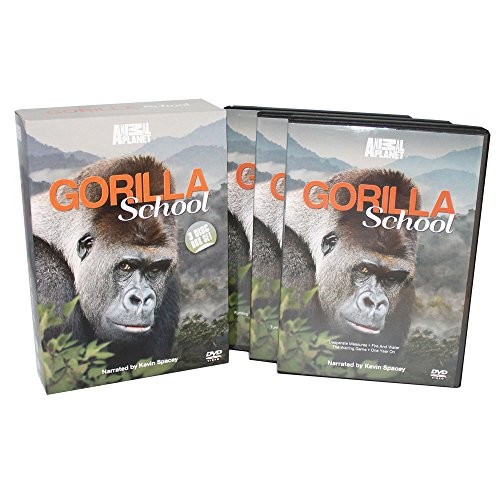Gorilla school dvd box - box, set