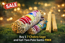 7Chakra White Sage Smudge