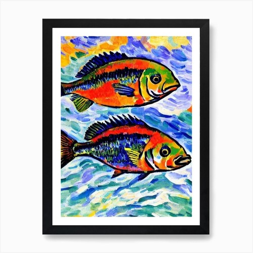 Black sea bass - sea,