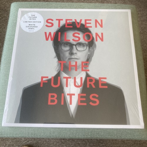 Steven wilson the future - steven,