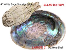 White Sage Smudge Sticks, Abalone Shells, Combo Smudge Stick Kit, Desert Sage