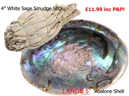 White sage smudge sticks - smudge,
