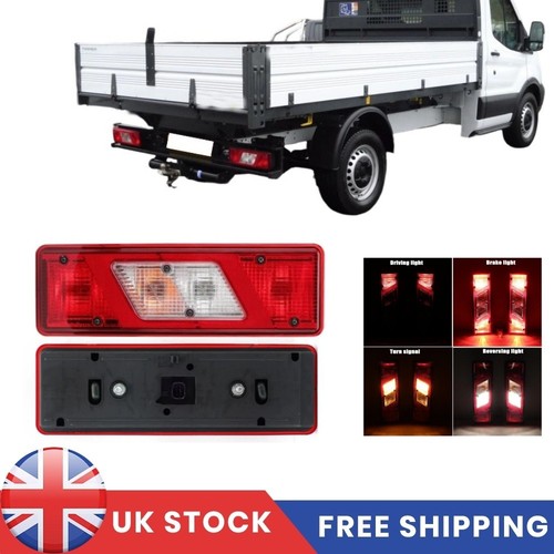 Rear left right - rear, light