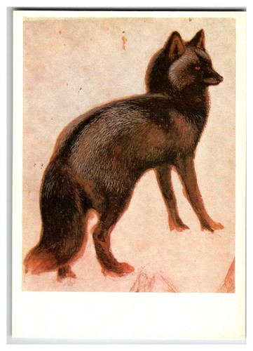 1978 russian postcard - 1978,