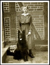 Belgian shepherd dog girl - dog, nd