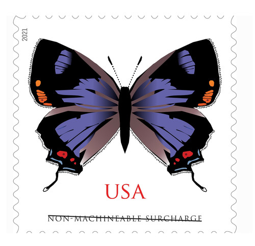 2021 colorado hairstreak - colorado,