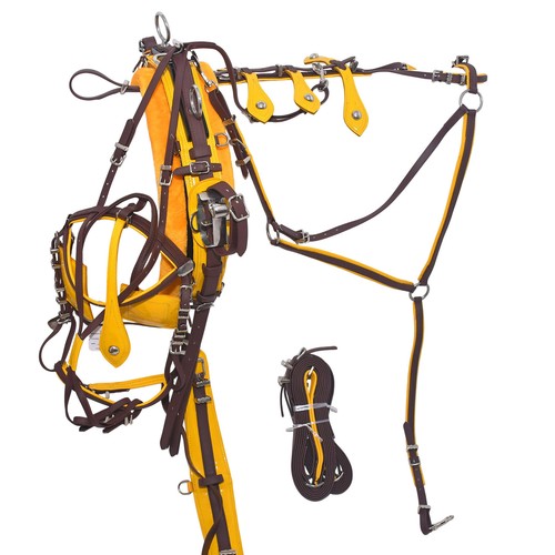 Pvc quick hitch trotting - quick,