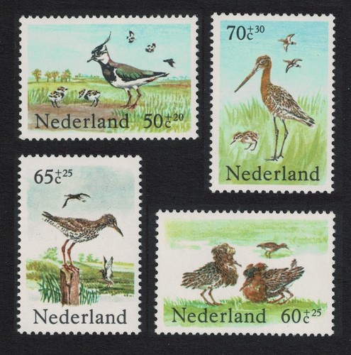 Netherlands lapwing redshank - lapwing,
