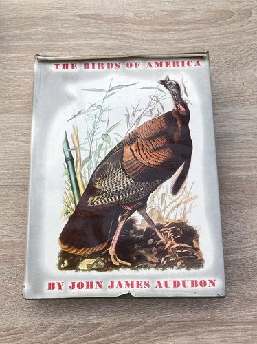 The birds america john - of,