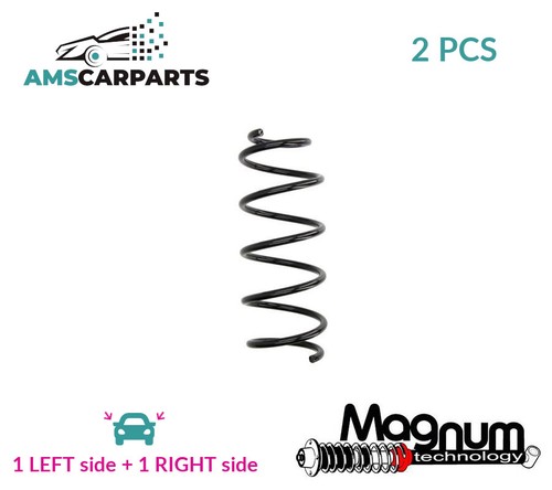 Coil spring pair set front - spring,