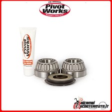 PIVOT WORKS STEERING BEARING