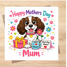 English Springer Spaniel