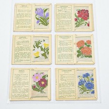 Complete Set 60 Kensitas Silk