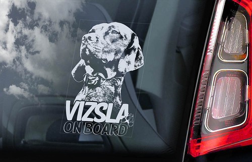 Vizsla car sticker - car, sticker,