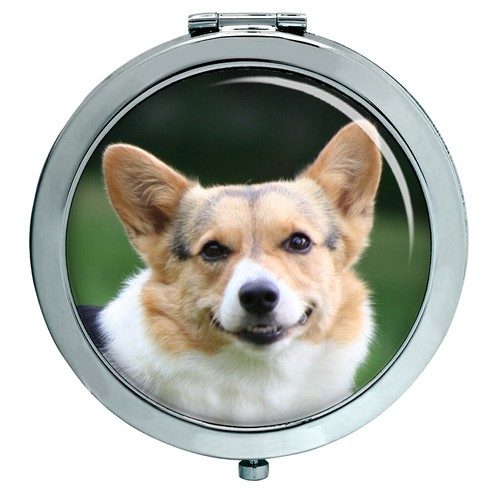 Cardigan welsh corgi compact - welsh,