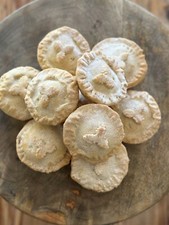 Homemade vegan mince pies - mince, made