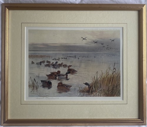 Archibald thorburn - archibald,