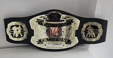 Tag Team Champions Belt