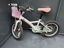 Apollo Butterflies 16-inch