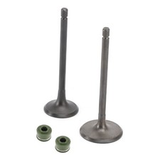 Head intake exhaust valves - intake,
