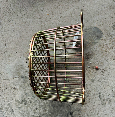 Boiler terminal flue - , guard