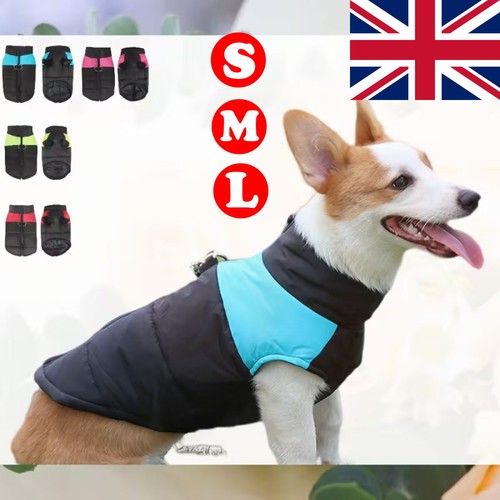 Dog clothes winter warm - clothes,