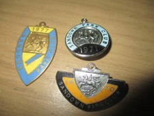 3 sandown  horse racing