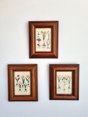 Trio vintage framed - trio, of