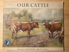 Beautifully Illustrated