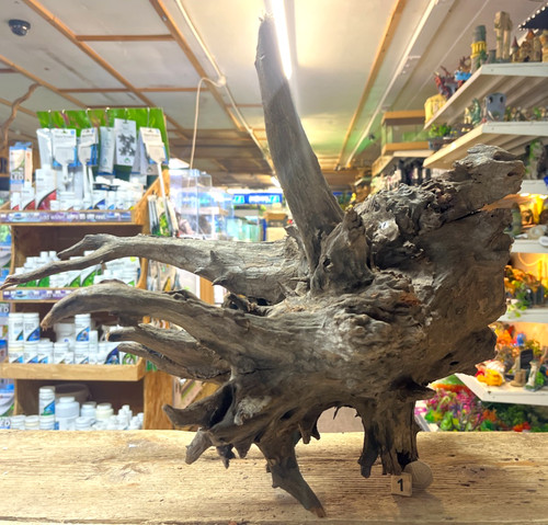 Large corbo root aquarium - large,