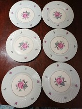 6 X BURGESS & LEIGH-DINNER