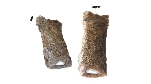 Dog field rabbit fur - fur,