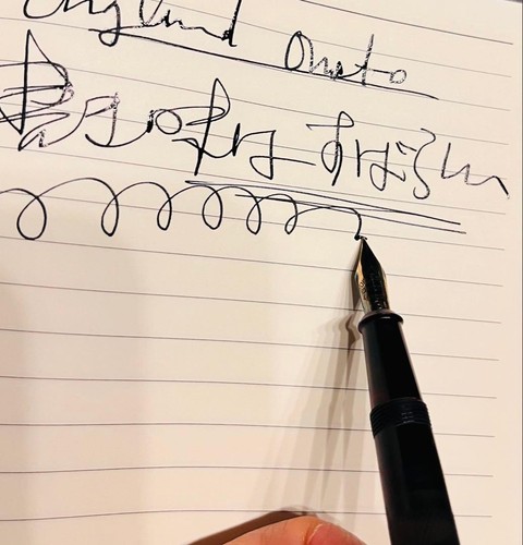 Onoto fountain pen - onoto, nib