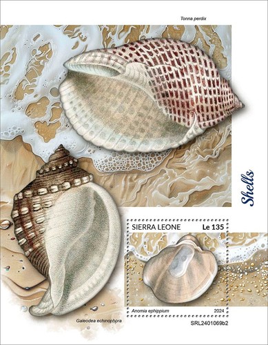 Shells mnh stamps - shells,