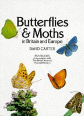 Butterflies and moths - moths, in