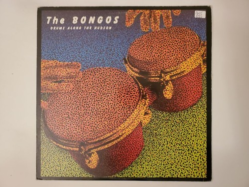 The bongos drums along - the,
