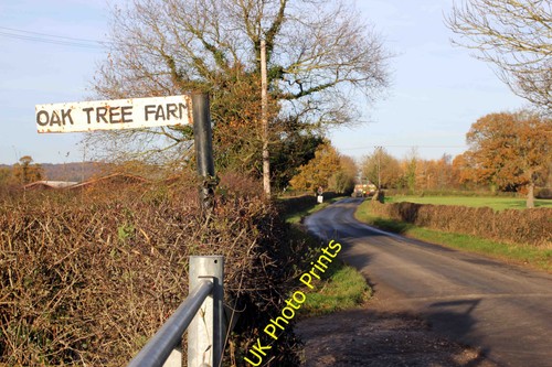 Photo bickerton road - photo,