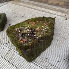 18th C Large Carved Stone Round Trough Planter Carved Stone 480mm length 